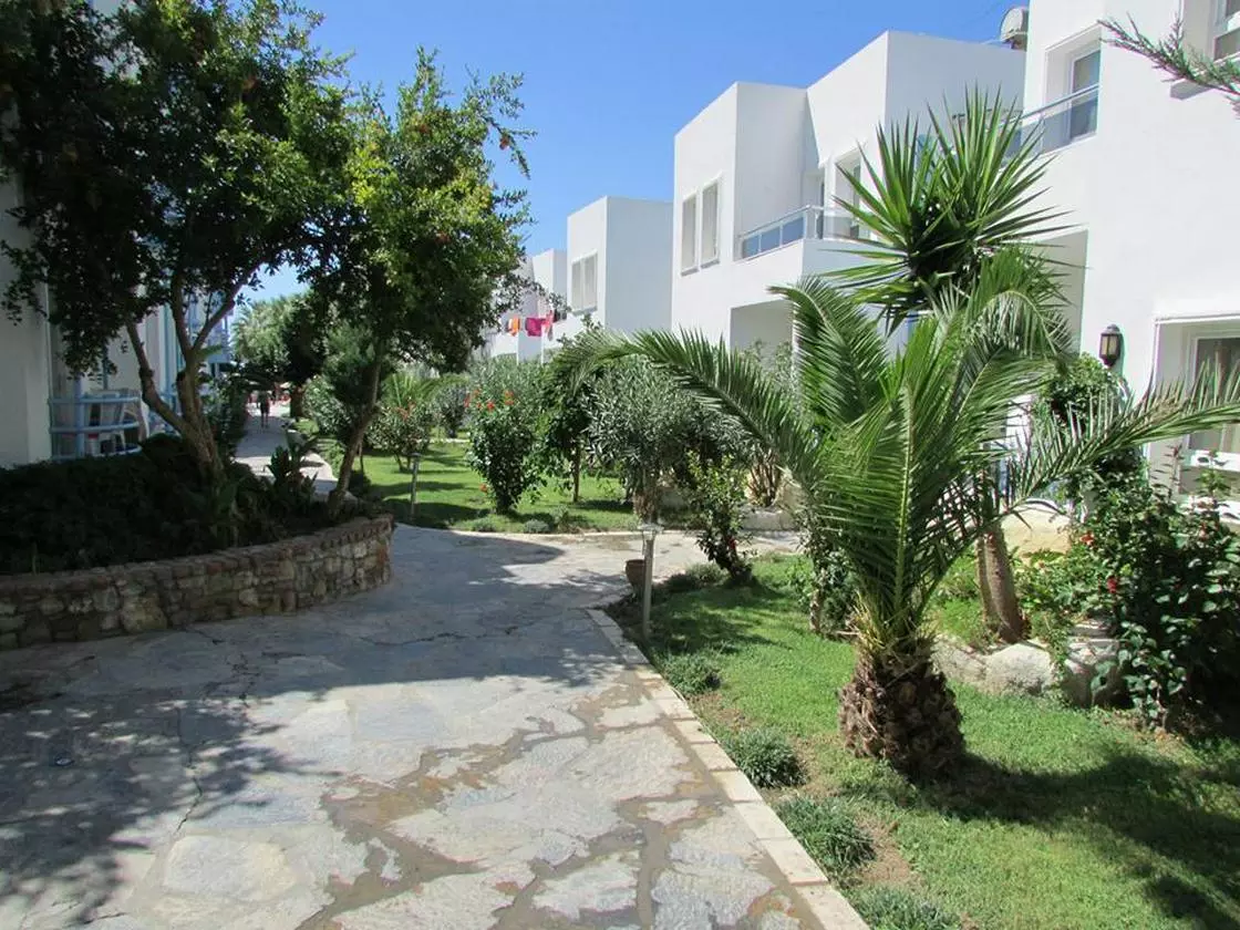 SUNCLUB_SHABAVIZ (13).jpg